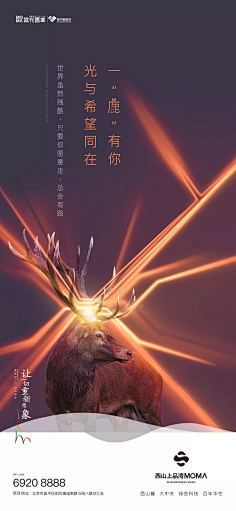 强永前采集到线性
