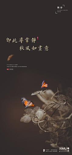 蹦鼻采集到海报