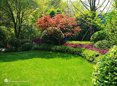 入冬阳光采集到植物造景