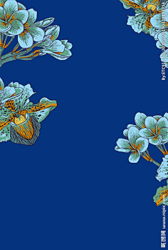 comthe aaz edict proclamation by dovahfahliil桌子木材椅子木色