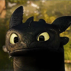 toothless九张无牙仔3vianotcommondragonstrumblr
