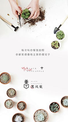 安然若橘_orange采集到多肉王国与疯狂的动物城