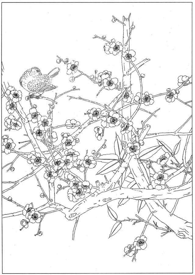 11:30:33白描《梅兰竹菊》工笔白描线稿兰蓝樱同采自open