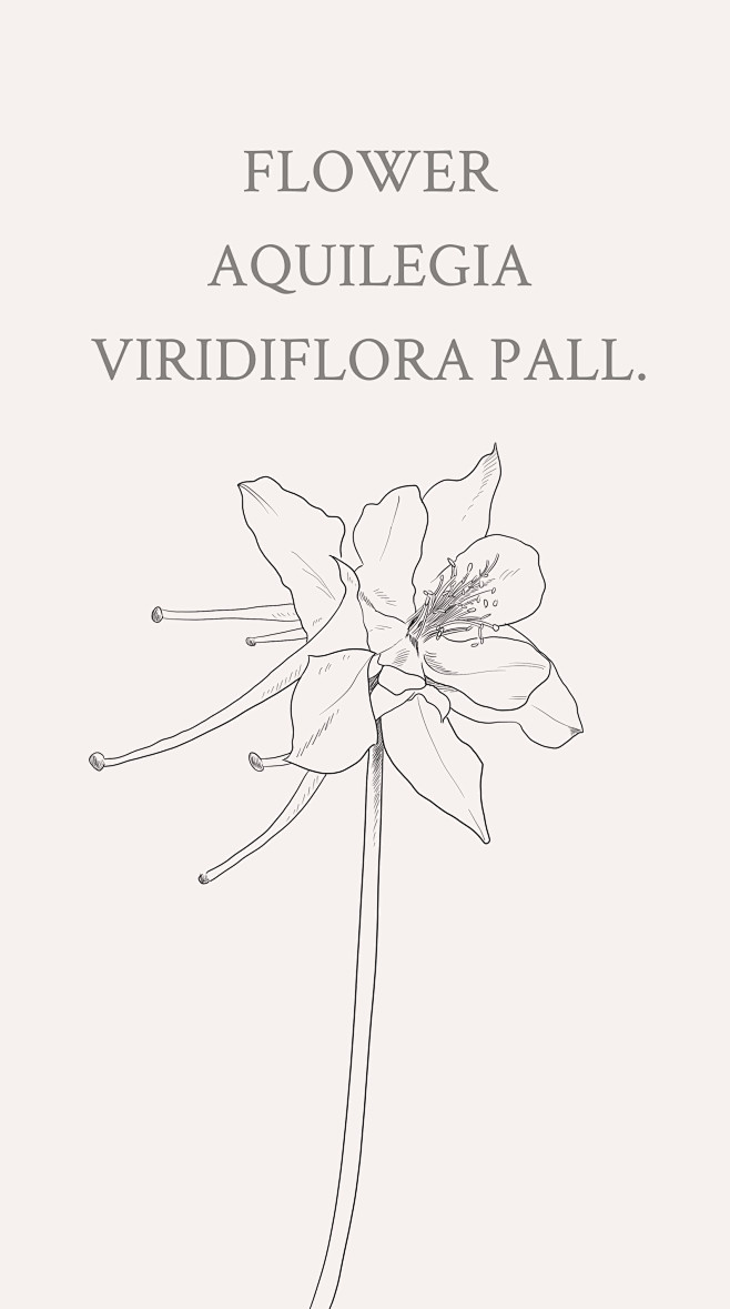 花语:胜利@curry100线稿,水彩诩娅的黑白世界该采集也在以下画板