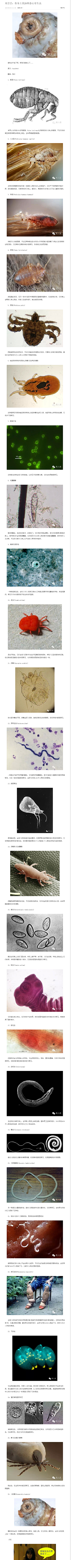 蕉雨落红叶采集到生活小常识
