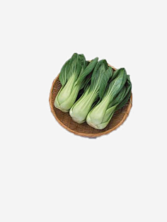 SNOOPY君采集到素材-植物.