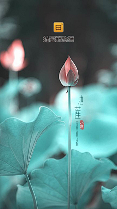 ◆:-D笑梦采集到微信