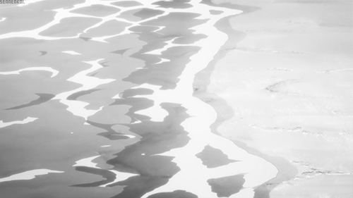 10:03:45动画-运动规律吖吖1212该采集也在以下画板加载更多