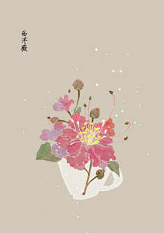 芍药居一霸采集到不知道叫啥名