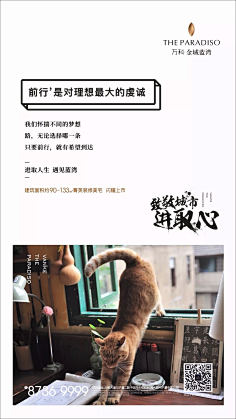 老李求官采集到走个心