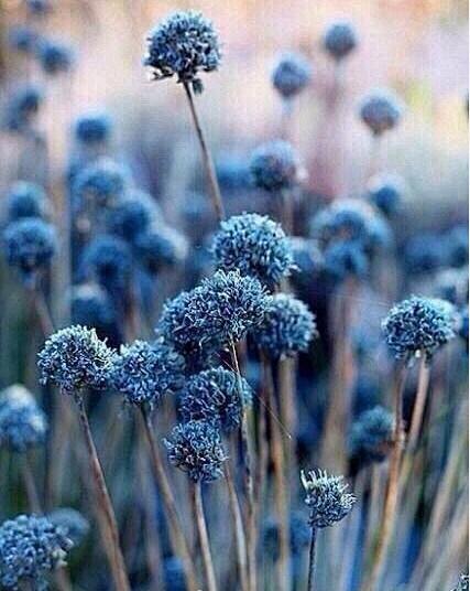 先画竹节再添叶,直到那个人在脑海中活灵活现