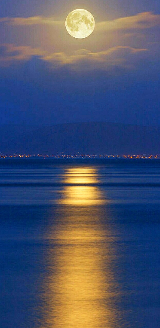 我的收藏皓月当空