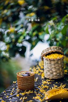 gling采集到语