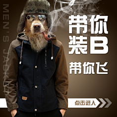 Hacker骇采集到钻 展,ztc图 好 图
