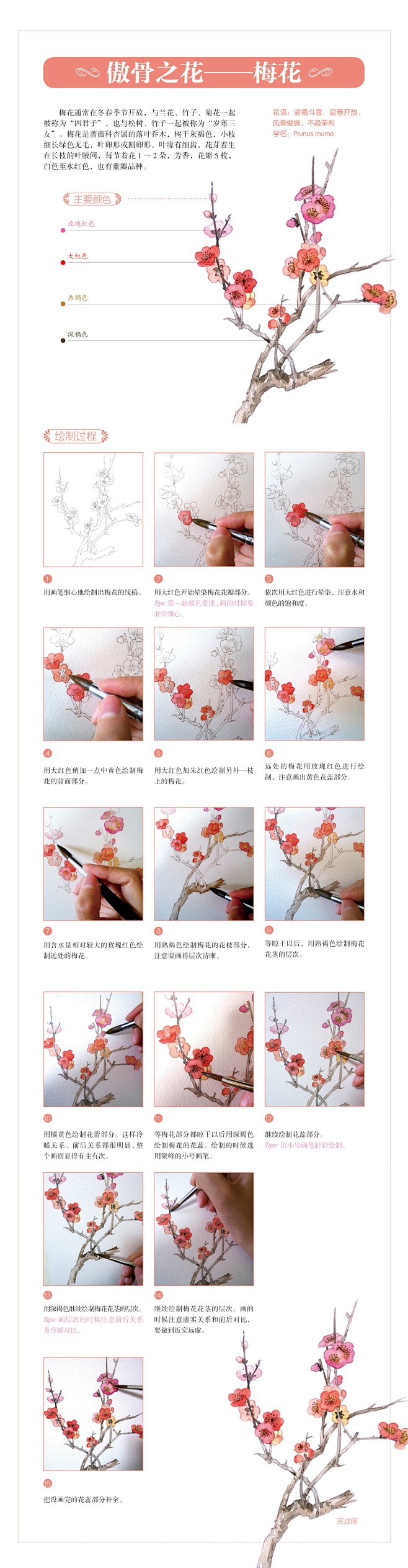 豆豆小女友采集到水彩教程