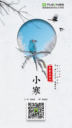 小写cc采集到my 的