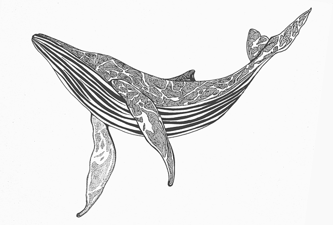 behance.net该采集也在以下画板加载更多