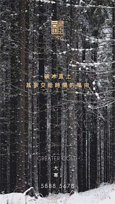 棉大花儿采集到汤臣一品合集