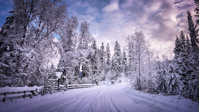 不列顛哥倫比亞冬天雪景桌面壁紙