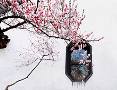 短暂永恒采集到诗意