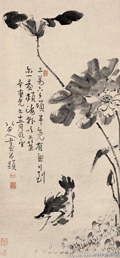 二维空间82829采集到传统书画