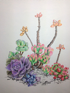 一定是你会错意采集到圆珠笔画