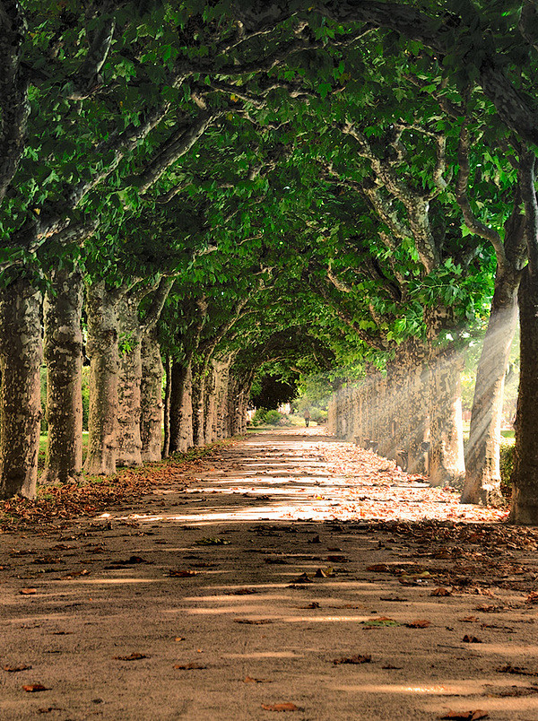 长长的路慢慢地走philippklinger摄影作品