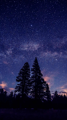 HaleyComet采集到星月夜