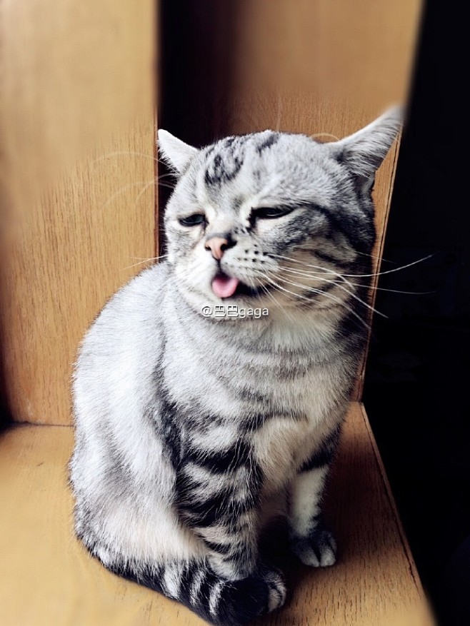 tiful woman i will show u a husband who's sick o