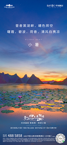 蓝色蒲公英a采集到海报