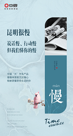 广告设计师盛生采集到系列单图