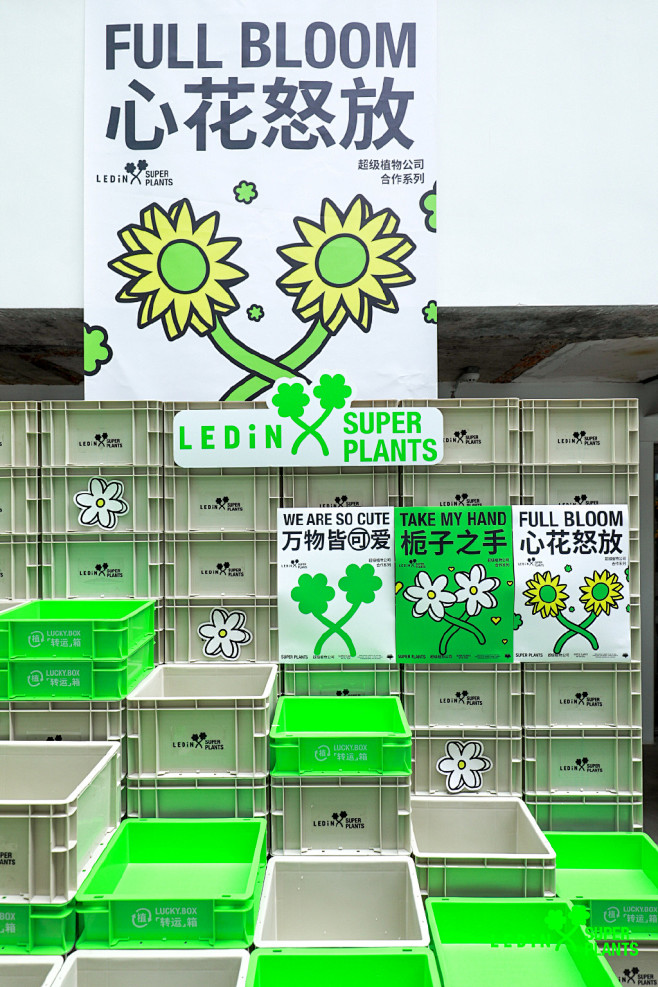 ledin乐町x超级植物公司合作系列popup