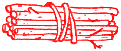 小龟雯采集到插画