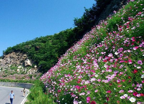 北镇百花谷自然风景区图片