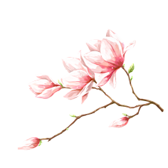 拂愿采集到免扣素材