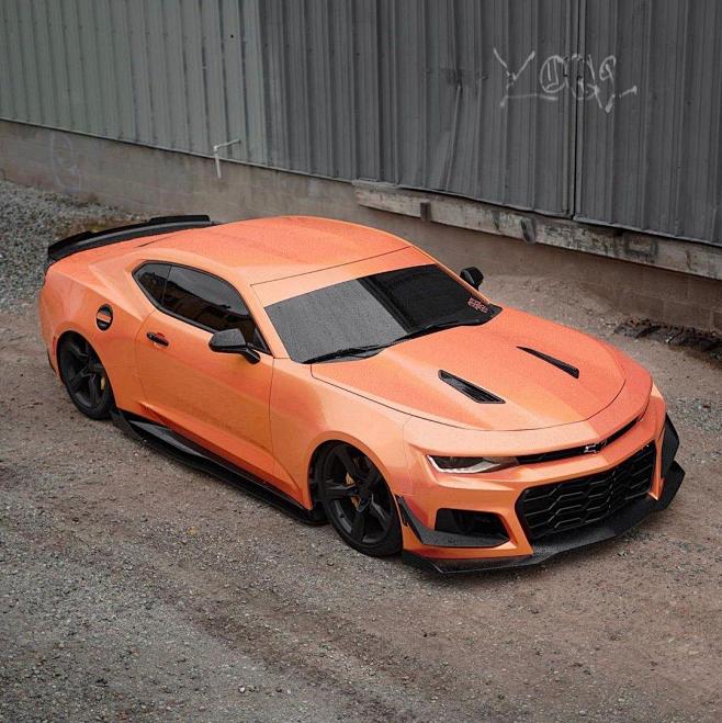 一枚大狂蜂!_图片新闻_东方头条