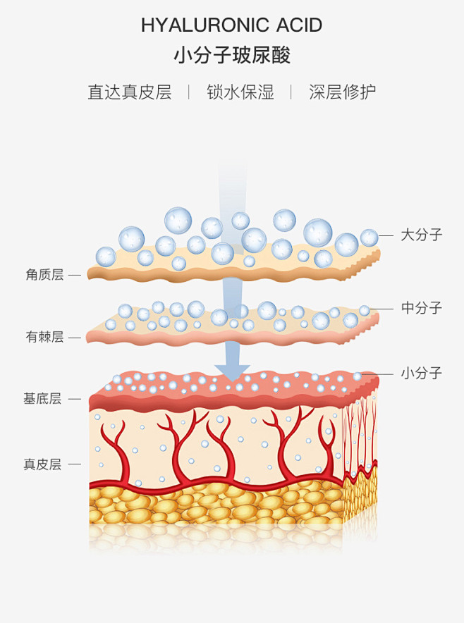 直達真皮層21n0318jpg7901061