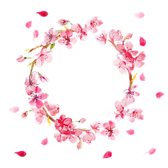 paddy_lee采集到那些花儿
