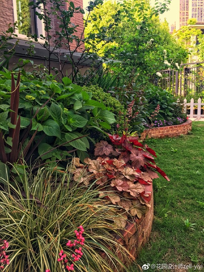 矾根 绣球 花境 庭院