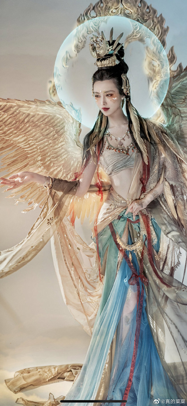 真的菜菜的微博微博