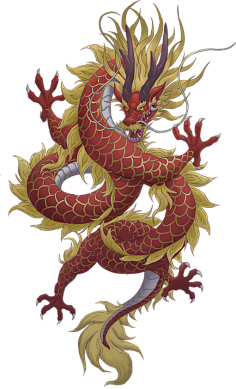 娜太阳采集到龙