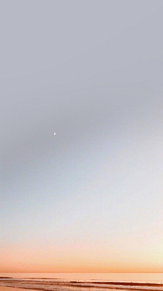 叫的大声點采集到(素材) 背景