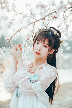 春花落尽·不曾回头采集到素闲吃“香”