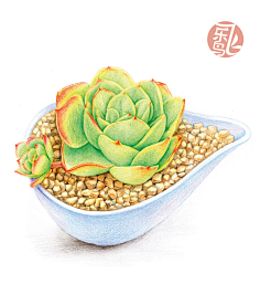 飞乐鸟采集到飞乐鸟插画篇