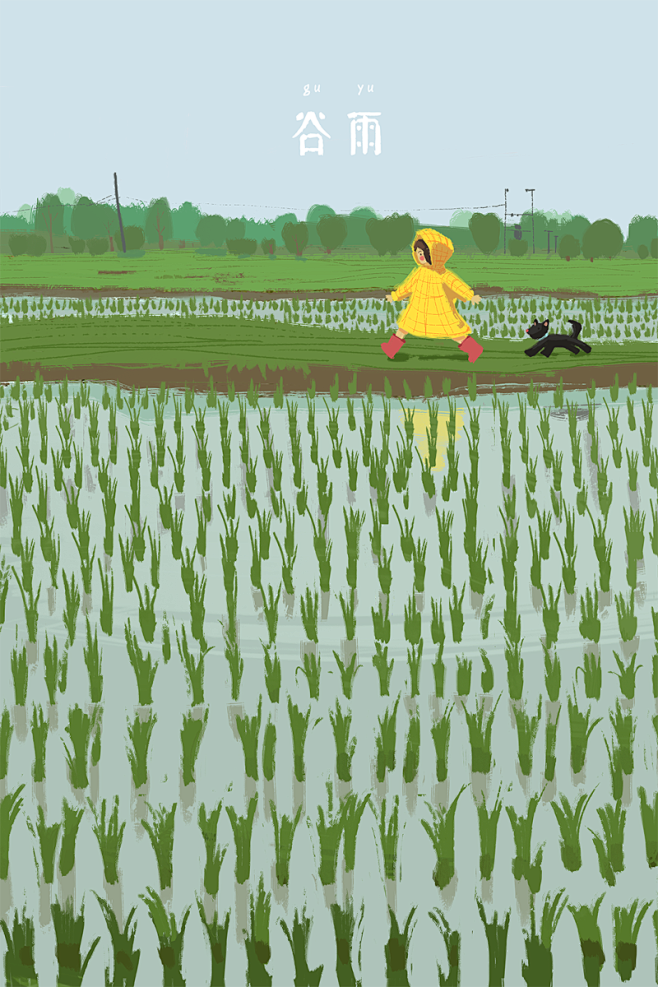 雨后的水稻田视觉中国设计师社区