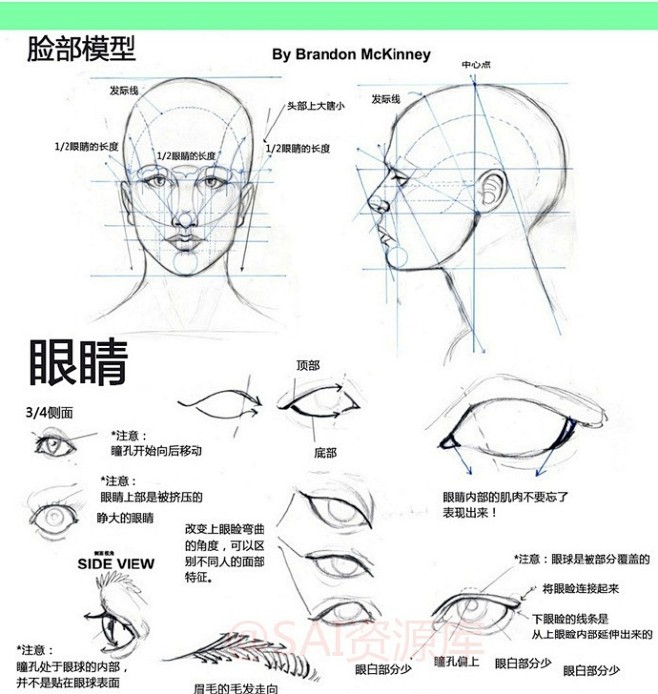 sai資源庫動漫人物的全面繪畫參考五官臉部眼睛鼻子和