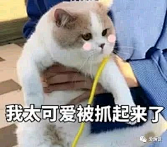 安頔Andy采集到你以前很宠我的侬