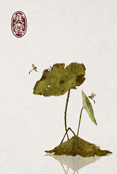 阿修克鲁木佐采集到二十四节气