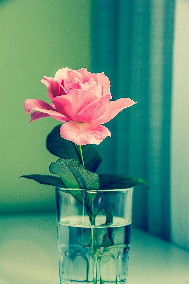 无标题由拉拉.在500px的