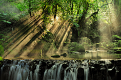 南栀惜沫采集到素材◈自然风光背景